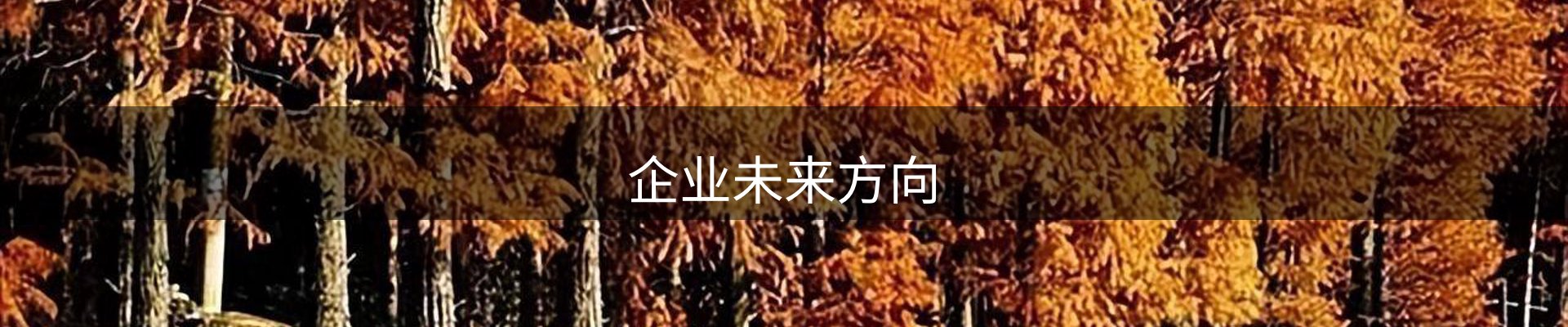 企业未来方向