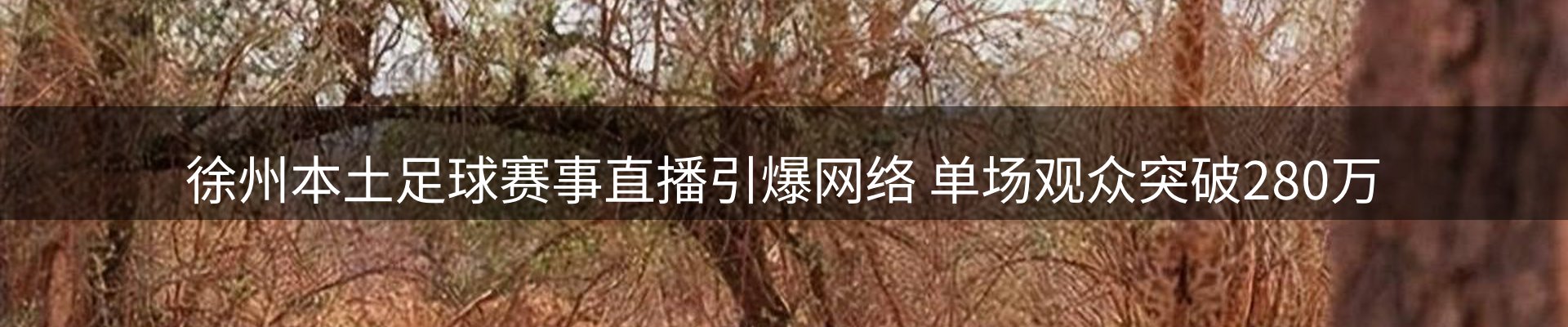 赛事资讯