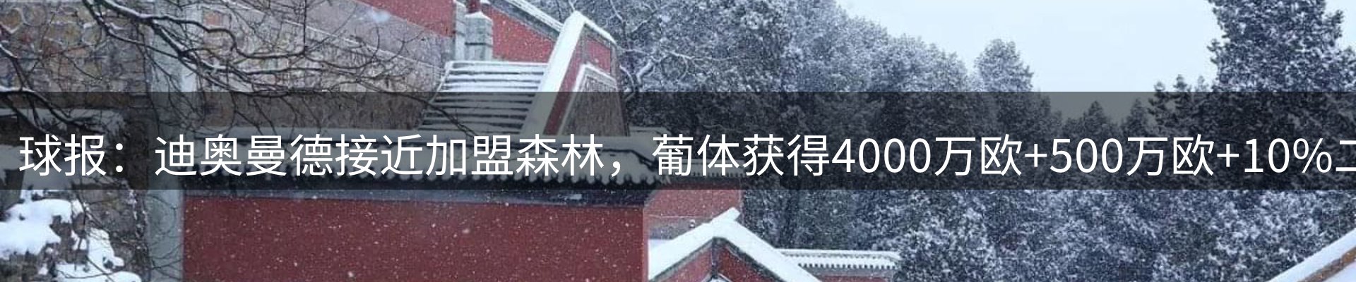 赛事资讯