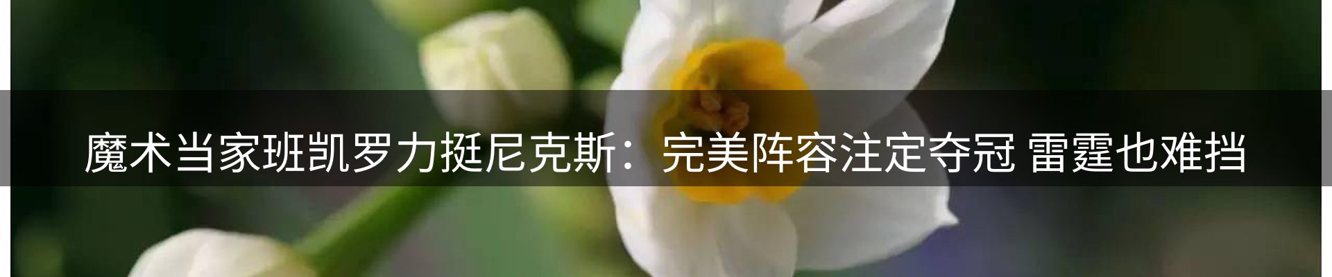赛事资讯